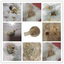 Load image into Gallery viewer, Yoni Pearls (2-3)